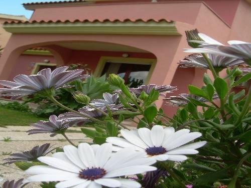 Ariedo Bed And Breakfast Capoterra Cameră foto